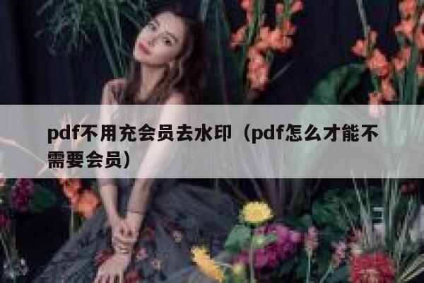 pdf不用充会员去水印（pdf怎么才能不需要会员）