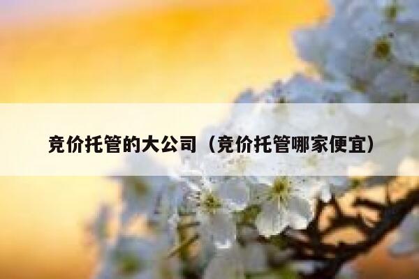 竞价托管的大公司（竞价托管哪家便宜）