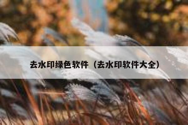 去水印绿色软件（去水印软件大全）