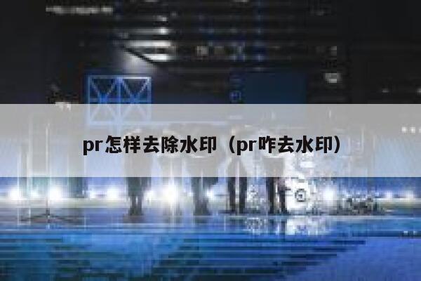 pr怎样去除水印（pr咋去水印）