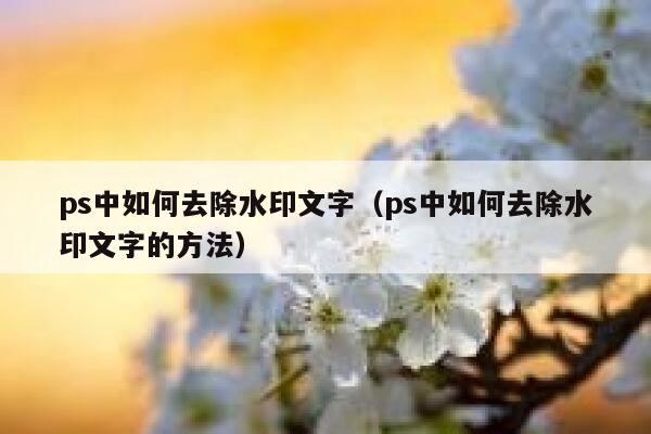 ps中如何去除水印文字（ps中如何去除水印文字的方法）