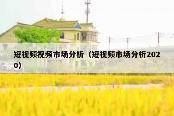 短视频视频市场分析（短视频市场分析2020）