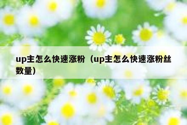 up主怎么快速涨粉（up主怎么快速涨粉丝数量）