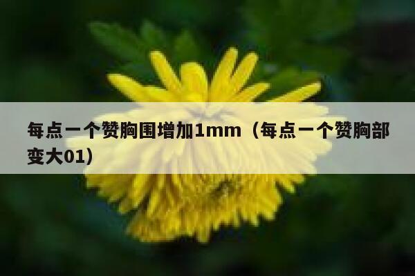 每点一个赞胸围增加1mm（每点一个赞胸部变大01）