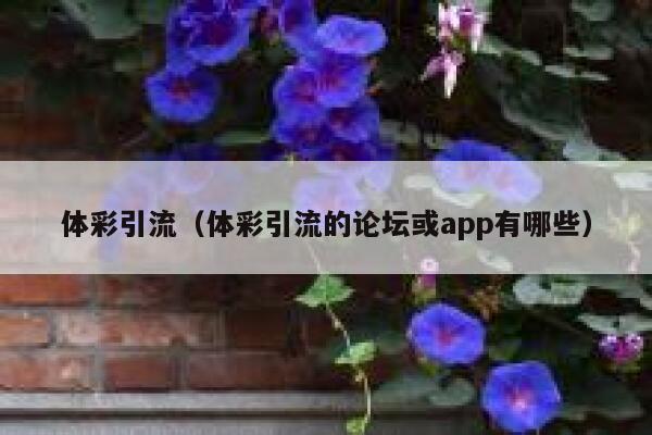 体彩引流（体彩引流的论坛或app有哪些）