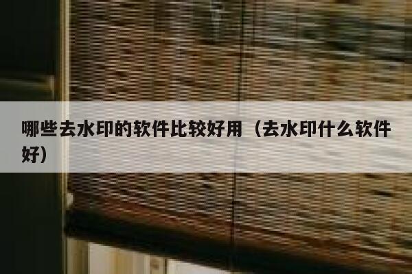 哪些去水印的软件比较好用（去水印什么软件好）