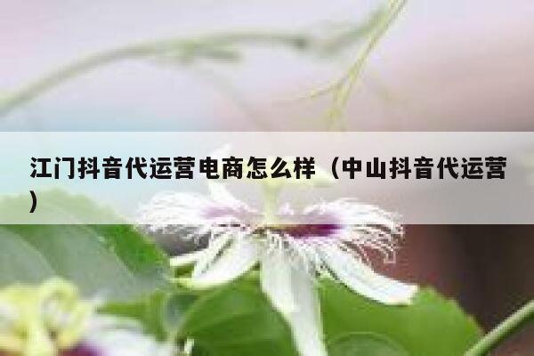 江门抖音代运营电商怎么样（中山抖音代运营）