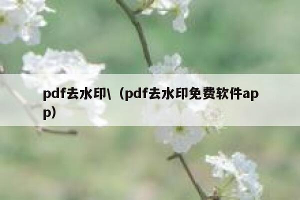 pdf去水印\（pdf去水印免费软件app）