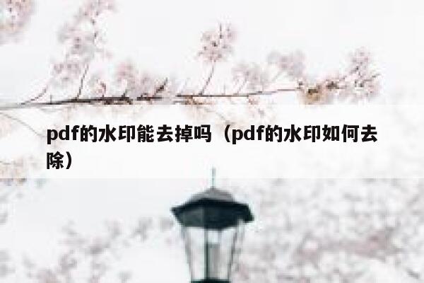 pdf的水印能去掉吗（pdf的水印如何去除）