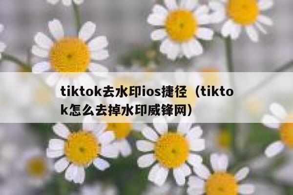 tiktok去水印ios捷径（tiktok怎么去掉水印威锋网）