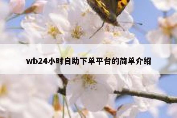 wb24小时自助下单平台的简单介绍