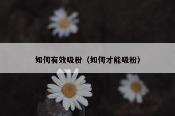 如何有效吸粉（如何才能吸粉）