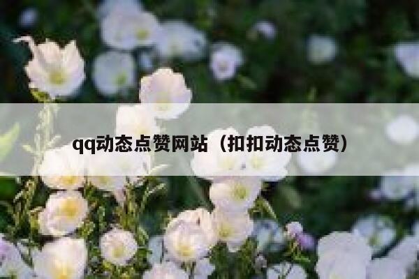 qq动态点赞网站（扣扣动态点赞）