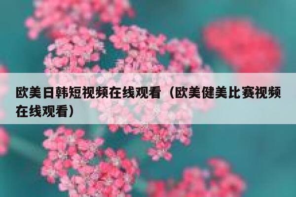 欧美日韩短视频在线观看（欧美健美比赛视频在线观看）