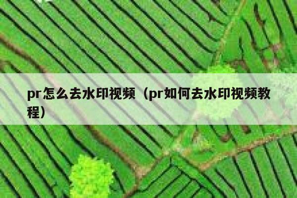 pr怎么去水印视频（pr如何去水印视频教程）