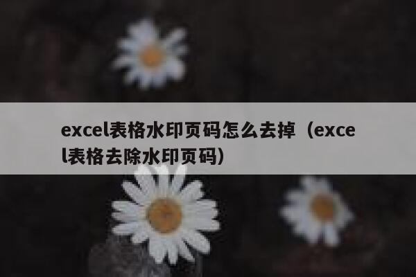 excel表格水印页码怎么去掉（excel表格去除水印页码）