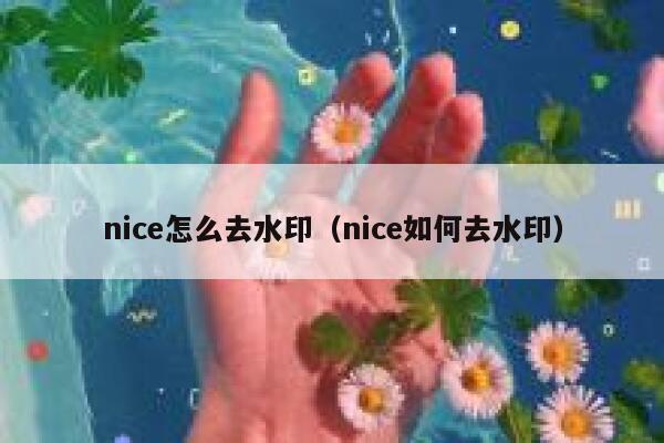 nice怎么去水印（nice如何去水印）