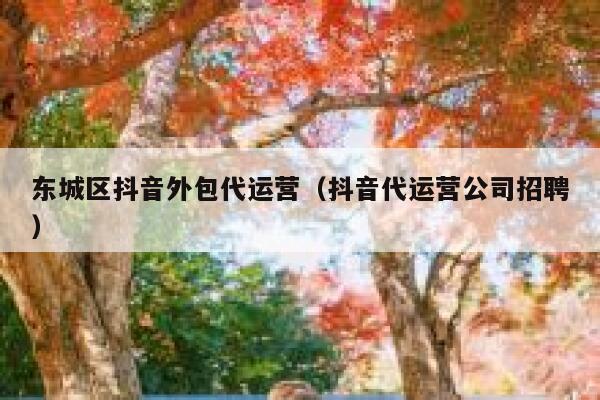 东城区抖音外包代运营（抖音代运营公司招聘）