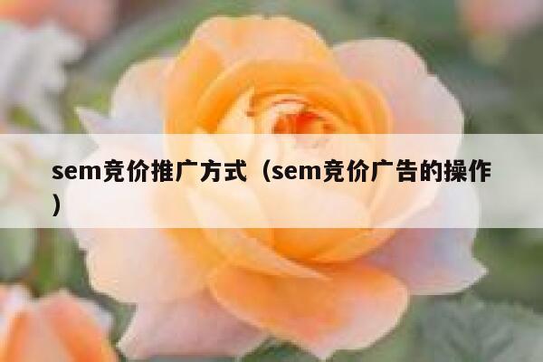 sem竞价推广方式（sem竞价广告的操作）