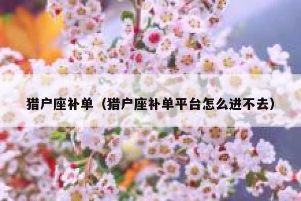 猎户座补单（猎户座补单平台怎么进不去）