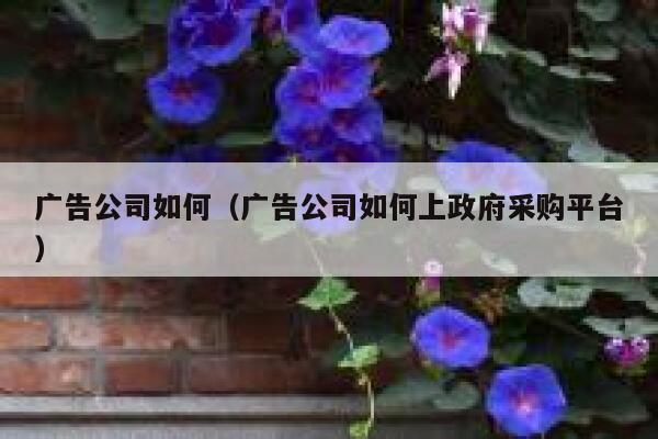 广告公司如何（广告公司如何上政府采购平台）