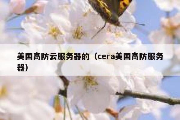 美国高防云服务器的（cera美国高防服务器）