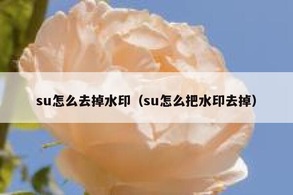 su怎么去掉水印（su怎么把水印去掉）