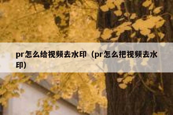 pr怎么给视频去水印（pr怎么把视频去水印）