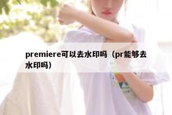 premiere可以去水印吗（pr能够去水印吗）