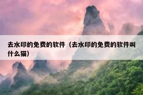 去水印的免费的软件（去水印的免费的软件叫什么猫）