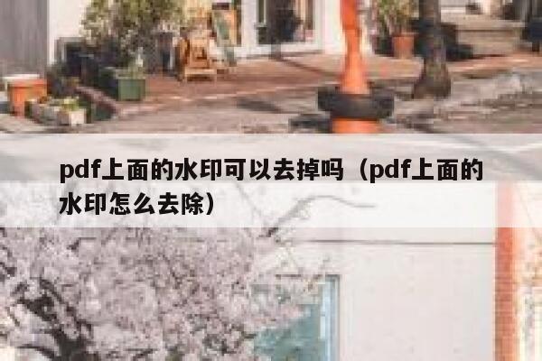 pdf上面的水印可以去掉吗（pdf上面的水印怎么去除）