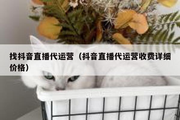 找抖音直播代运营（抖音直播代运营收费详细价格）