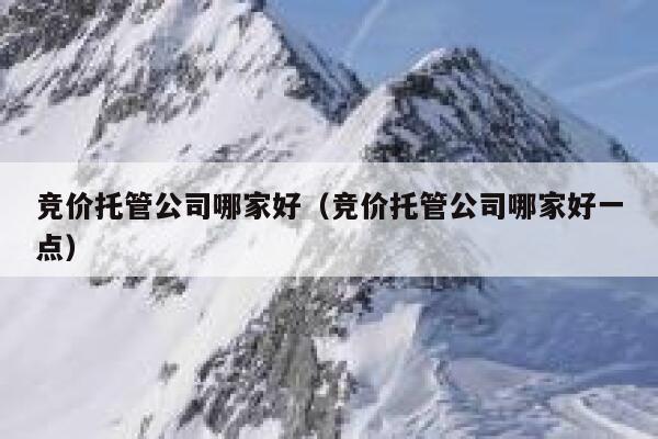 竞价托管公司哪家好（竞价托管公司哪家好一点）