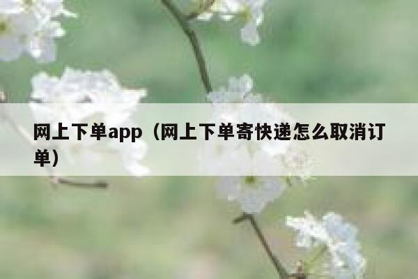 网上下单app（网上下单寄快递怎么取消订单）