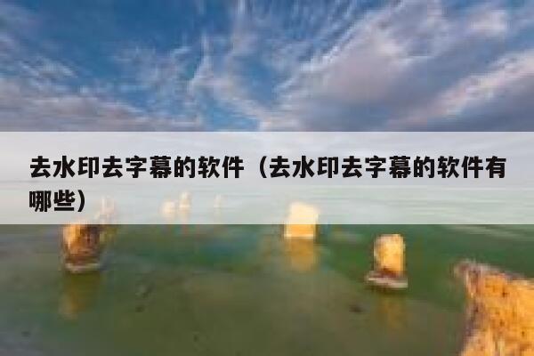 去水印去字幕的软件（去水印去字幕的软件有哪些）