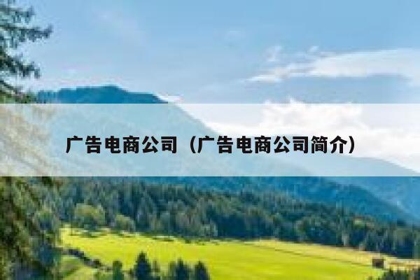 广告电商公司（广告电商公司简介）