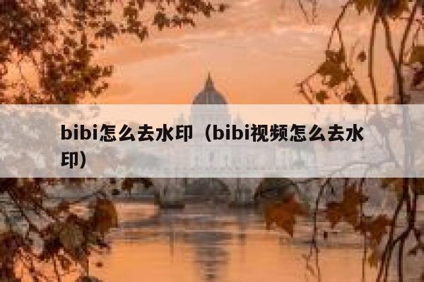 bibi怎么去水印（bibi视频怎么去水印）