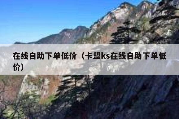 在线自助下单低价（卡盟ks在线自助下单低价）