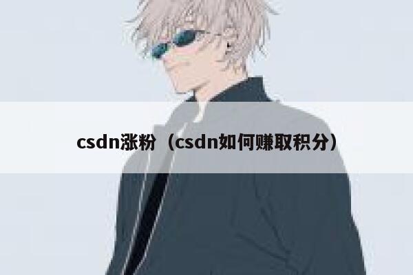 csdn涨粉（csdn如何赚取积分）