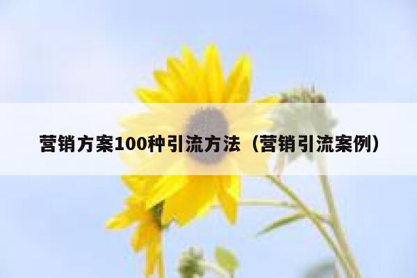 营销方案100种引流方法（营销引流案例）