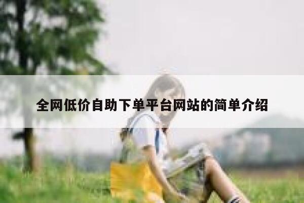 全网低价自助下单平台网站的简单介绍