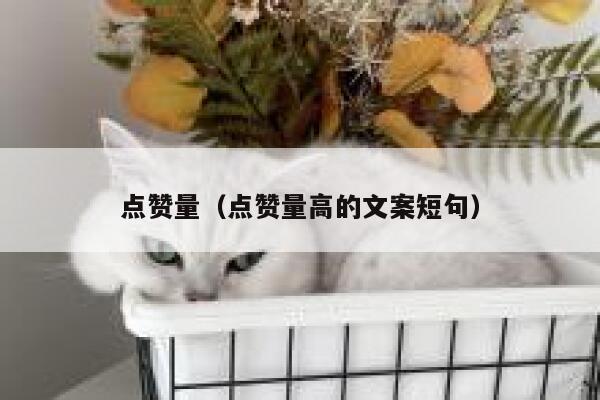 点赞量（点赞量高的文案短句）