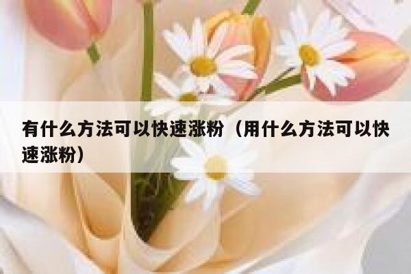 有什么方法可以快速涨粉（用什么方法可以快速涨粉）