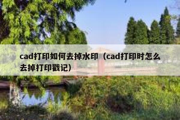 cad打印如何去掉水印（cad打印时怎么去掉打印戳记）