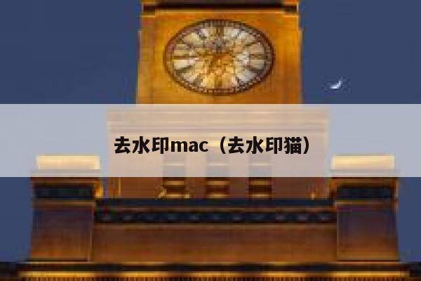 去水印mac（去水印猫）