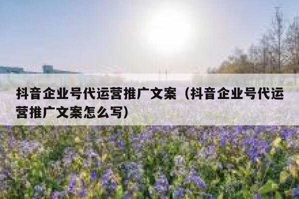 抖音企业号代运营推广文案（抖音企业号代运营推广文案怎么写）