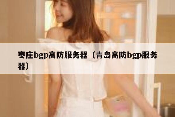 枣庄bgp高防服务器（青岛高防bgp服务器）