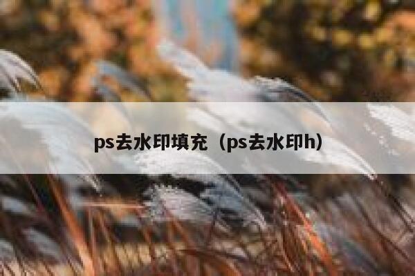 ps去水印填充（ps去水印h）