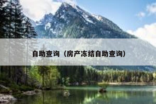 自助查询（房产冻结自助查询）