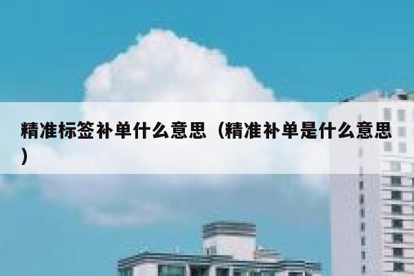 精准标签补单什么意思（精准补单是什么意思）